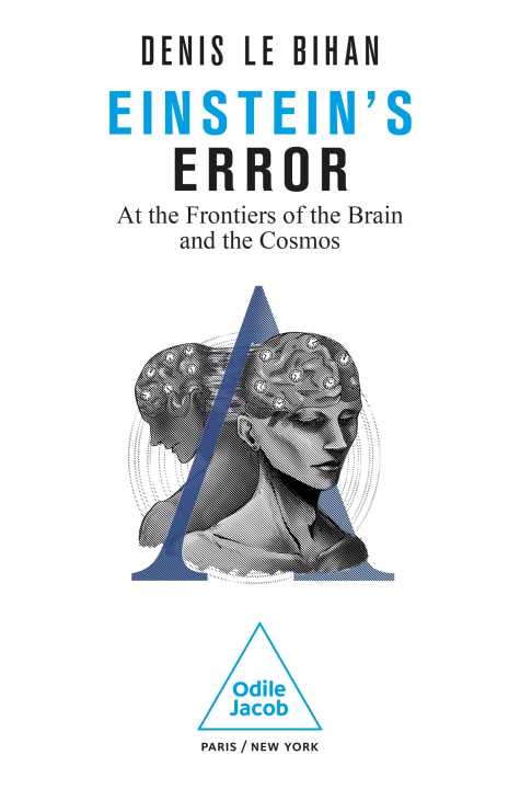 Kniha Einstein's Error Denis Le Bihan