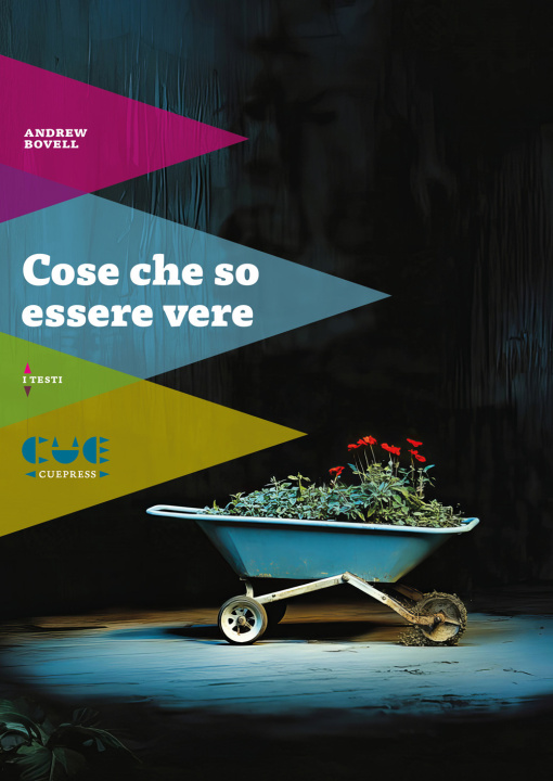 Knjiga Cose che so essere vere Andrew Bovell