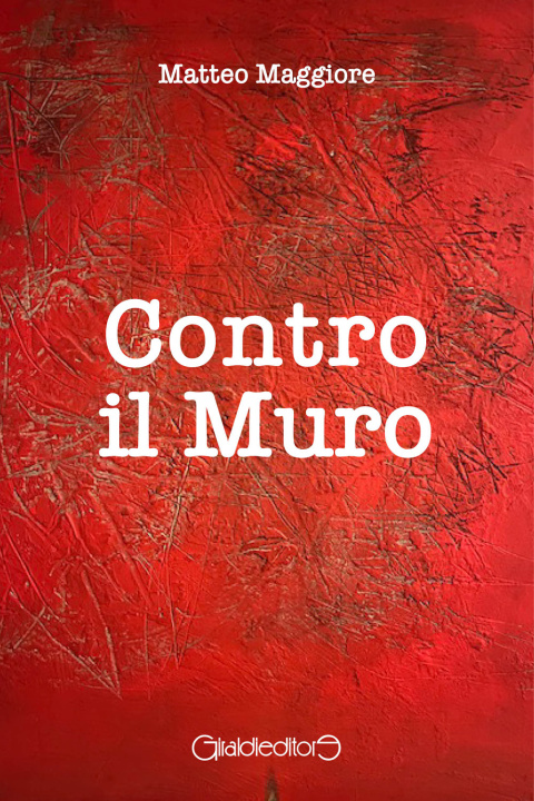 Libro Contro il muro Matteo Maggiore