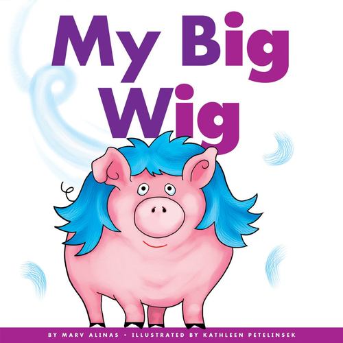 Kniha MY BIG WIG ALINAS MARV