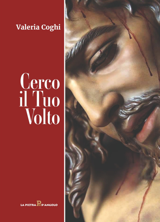Buch Cerco il tuo volto Valeria Coghi