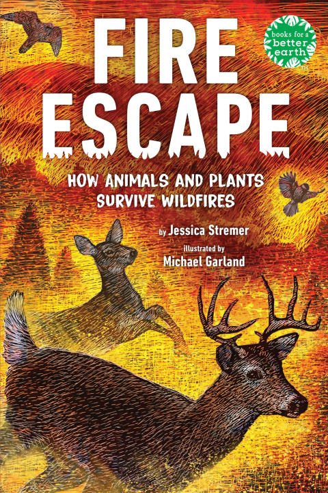 Book Fire Escape Michael Garland