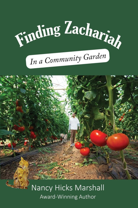 Knjiga Finding Zachariah Nancy Hicks Marshall