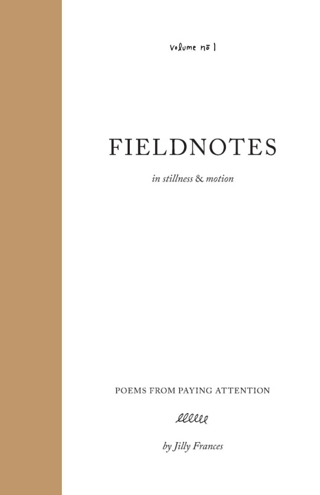 Knjiga Fieldnotes Jilly Frances