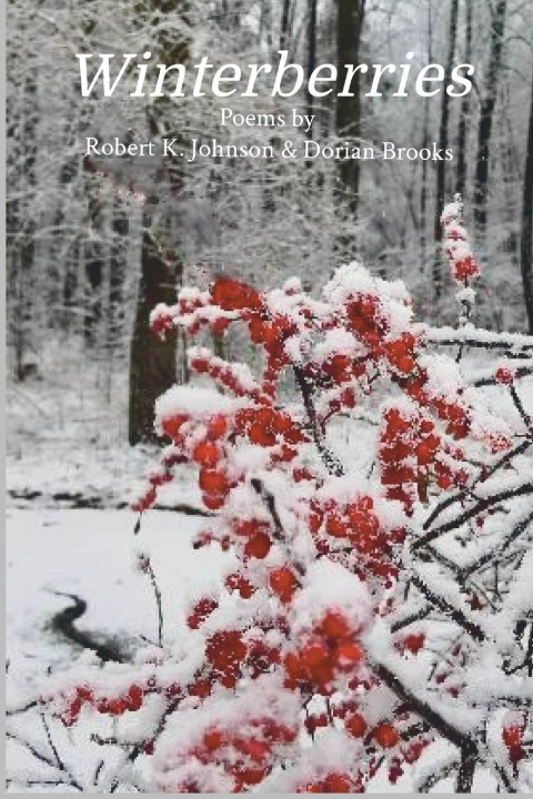 Knjiga Winterberries Dorian Brooks