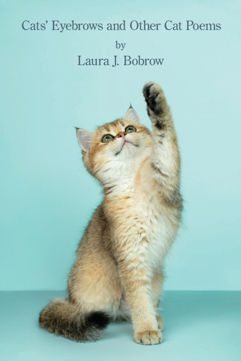 Книга Cats' Eyebrows Laura J. Bobrow
