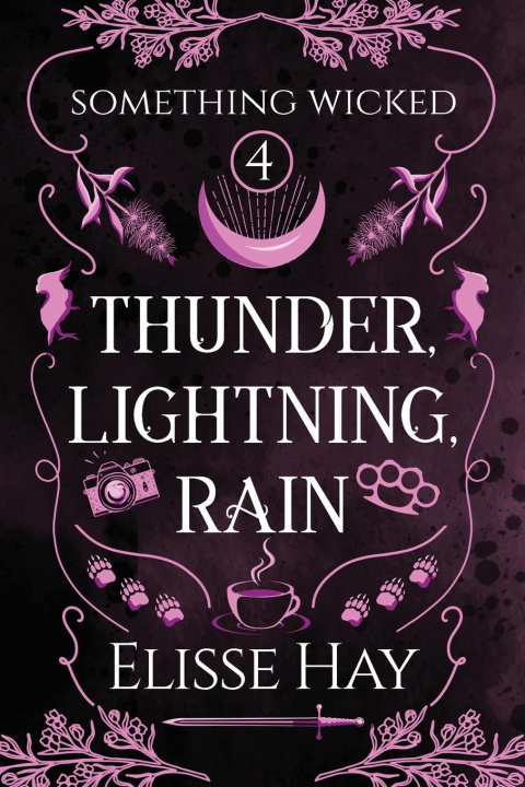 Buch Thunder, Lightning, Rain Elisse Hay