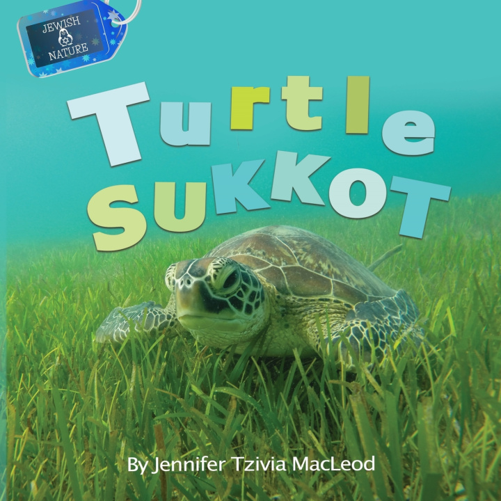 Kniha Turtle Sukkot Jennifer Tzivia MacLeod
