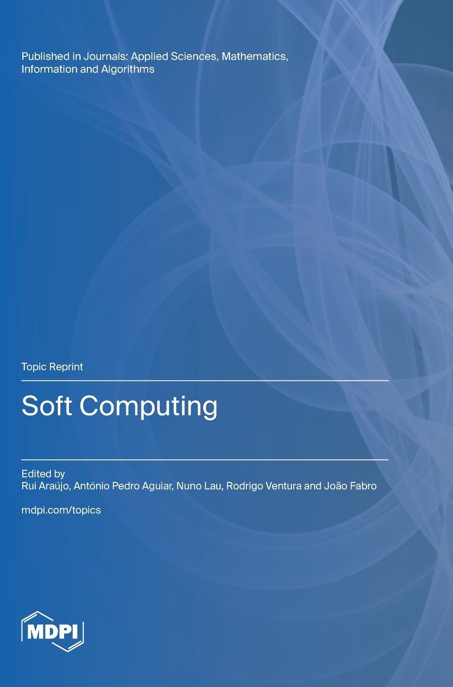 Könyv Soft Computing Rui Araújo
