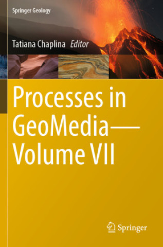 Knjiga Processes in GeoMedia?Volume VII Tatiana Chaplina