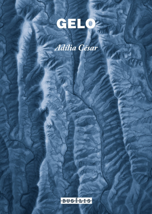 Knjiga GELO ADILIA CESAR