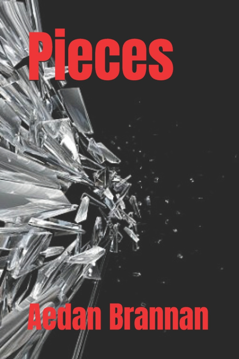 Книга Pieces Aedan Brannan