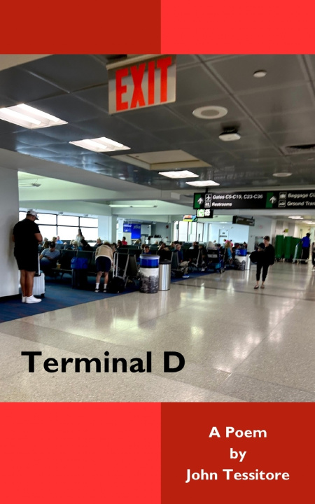 Buch Terminal D John Tessitore