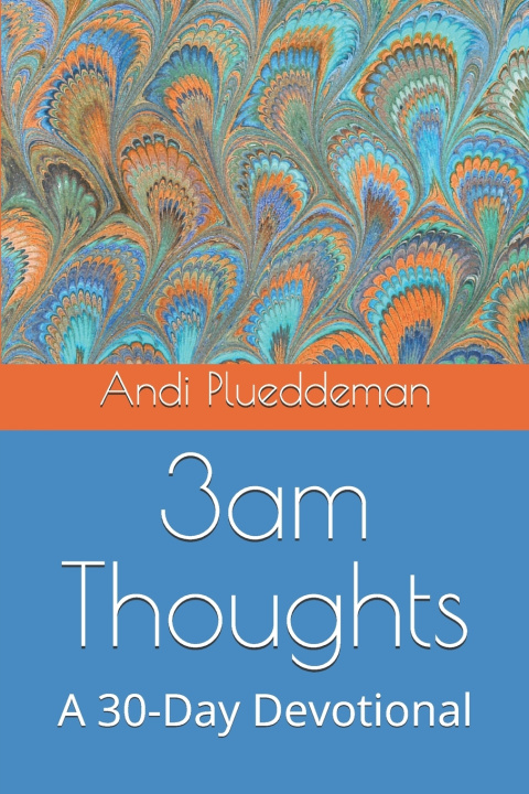Knjiga 3am Thoughts Andi Plueddeman