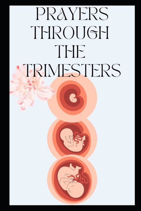 Knjiga Prayers Through the Trimesters P Davis