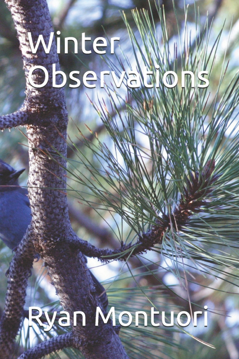 Knjiga Winter Observations Ryan Montuori