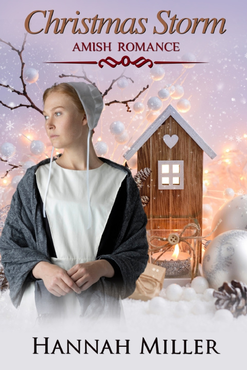 Boek Christmas Storm Hannah Miller