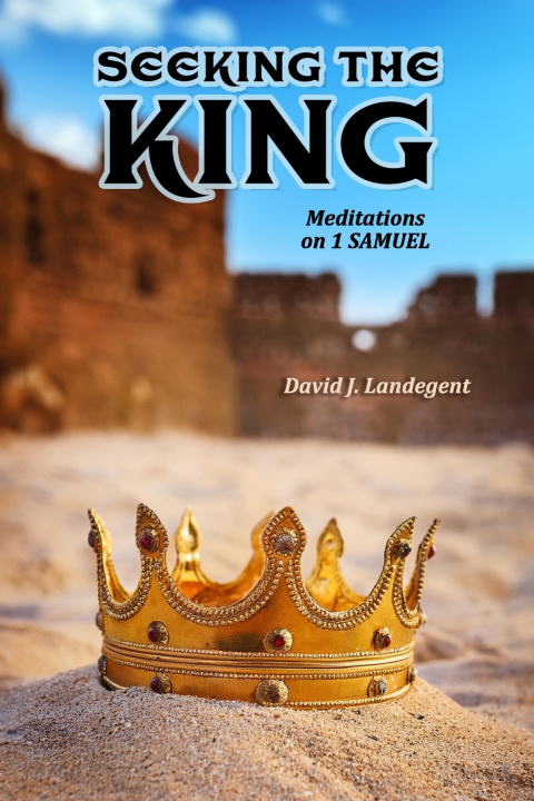 Knjiga Seeking the King David J. Landegent
