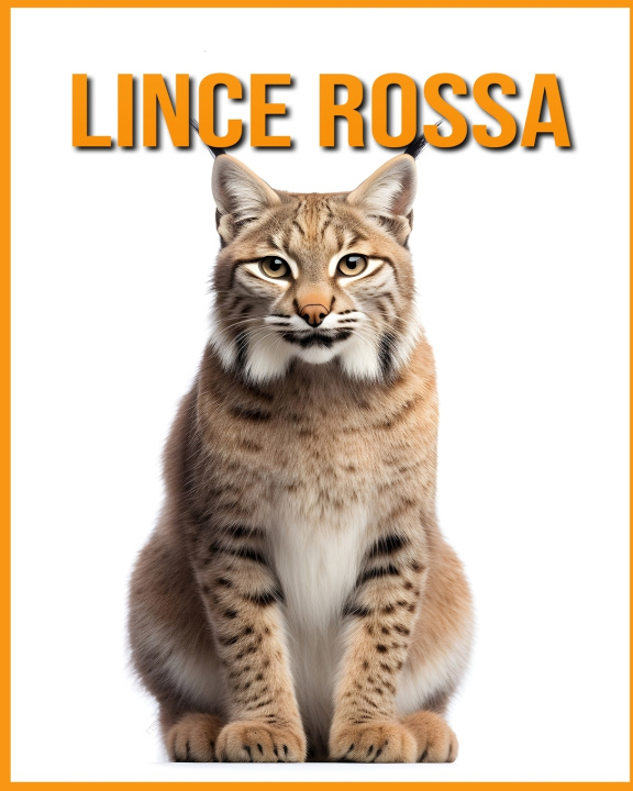 Книга Lince rossa Isla Vane