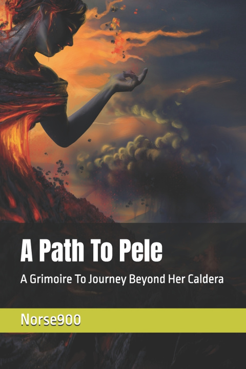 Knjiga A Path To Pele Norse900