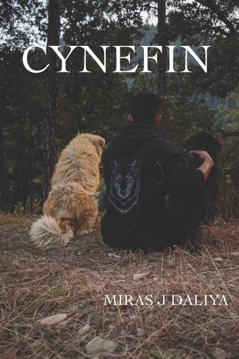 Книга Cynefin Miras Daliya