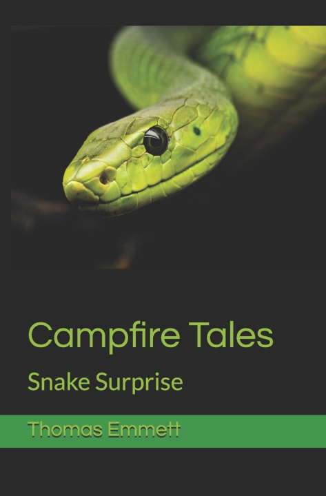 Книга Campfire Tales Thomas Emmett
