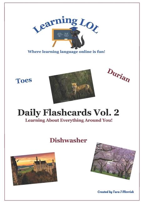 Knjiga Daily Flashcards Vol. 2 Tara J Morrish