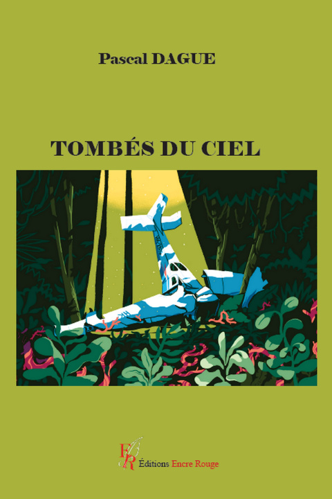 Книга Tombés du ciel Pascal Dague