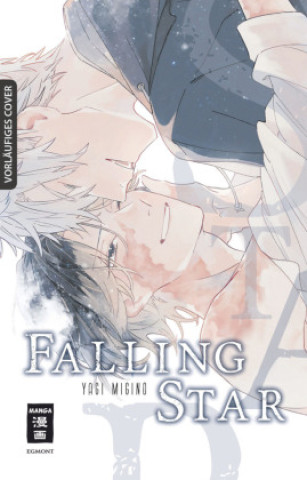 Boek Falling Star Yagi Migino