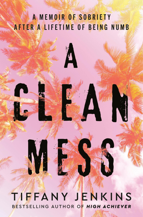 Book A Clean Mess Jenkins