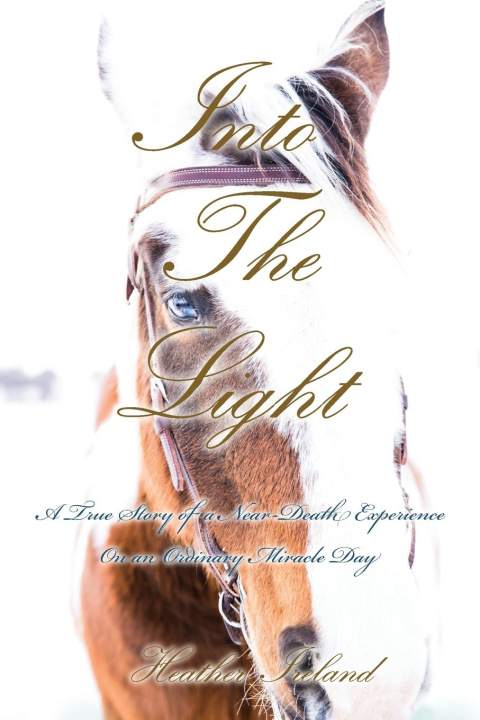 Knjiga Into The Light Heather Ireland