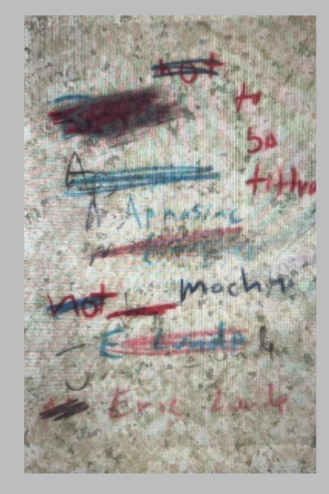 Buch Aphasiac Machine Eric Lunde