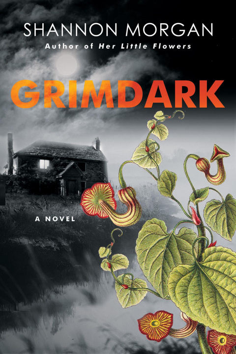 Книга Grimdark MORGAN SHANNON
