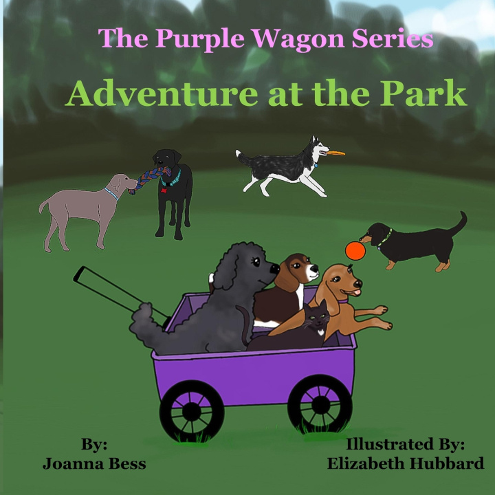 Buch Adventure at the Park Elizabeth Hubbard
