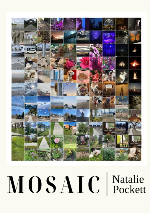 Knjiga Mosaic Natalie Pockett