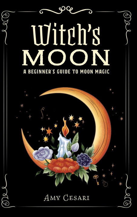 Книга Witch's Moon Amy Cesari