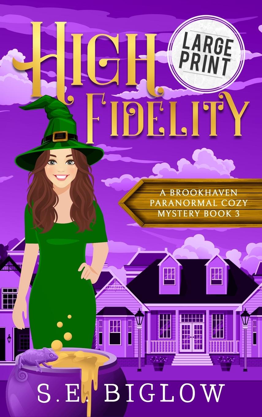 Libro High Fidelity S.E. Biglow