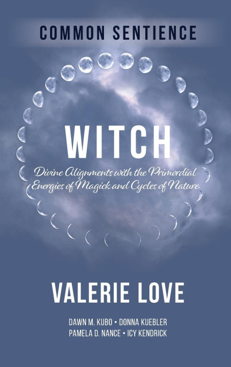 Knjiga Witch Valerie Love