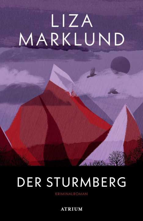 Könyv Der Sturmberg Dagmar Mißfeldt