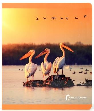Book AVES NOWORDBOOKS