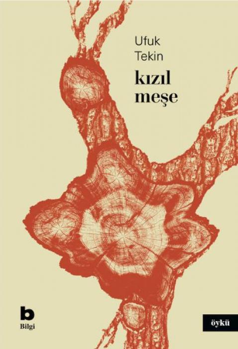Knjiga Kizil Mese 