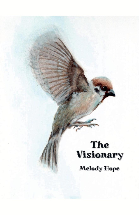 Boek The Visionary Melody Hope