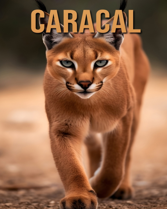 Knjiga Caracal Tristan Fairwood