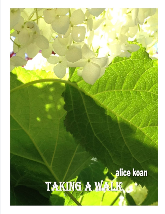 Knjiga Taking a walk Alice Koan