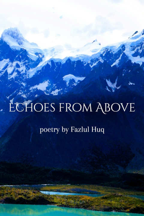 Knjiga Echoes from Above Fazlul Huq