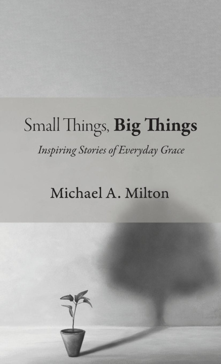Książka Small Things, Big Things Michael A. Milton