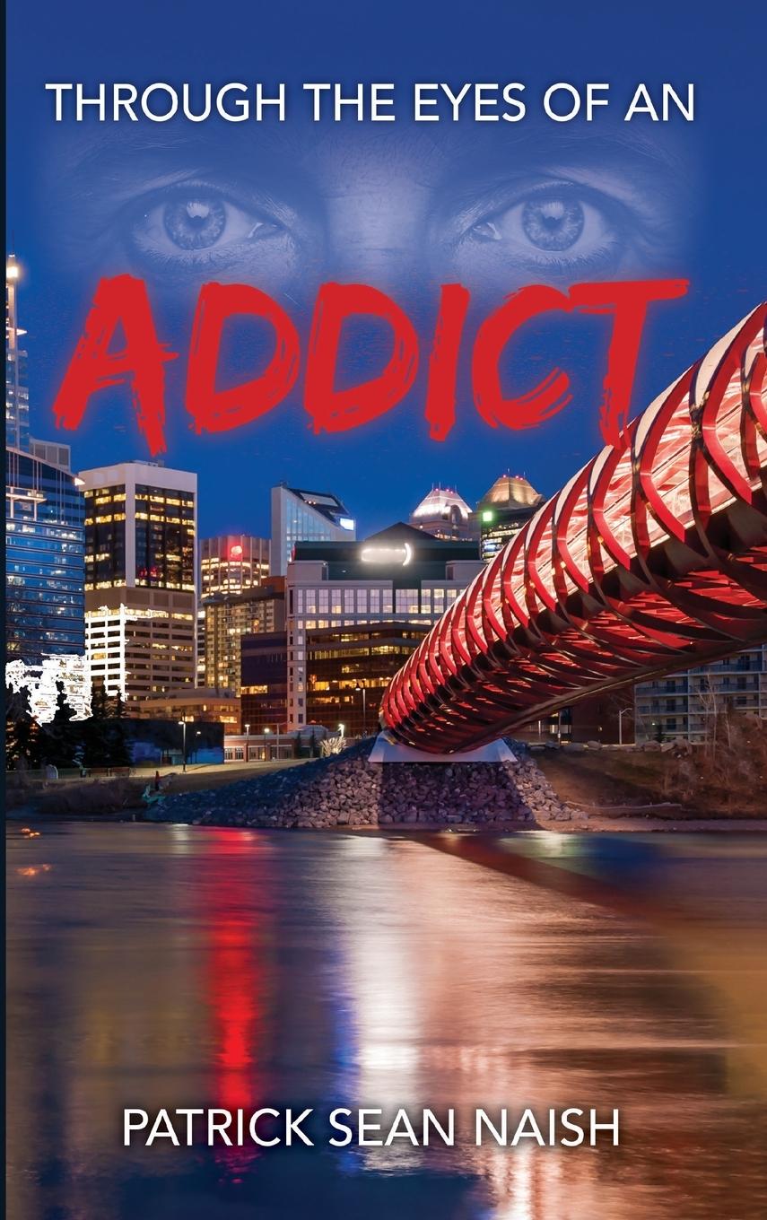 Buch Through the Eyes of an Addict Patrick Sean Naish