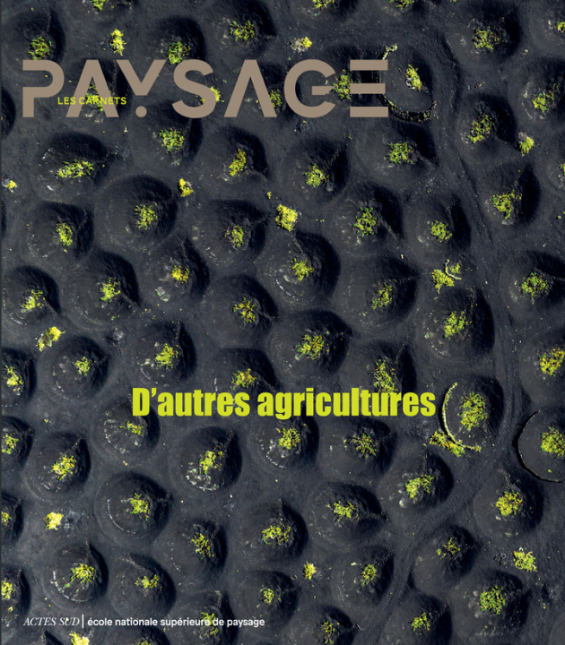 Buch Carnets du paysage n° 46 