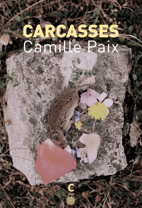Book Carcasses Paix