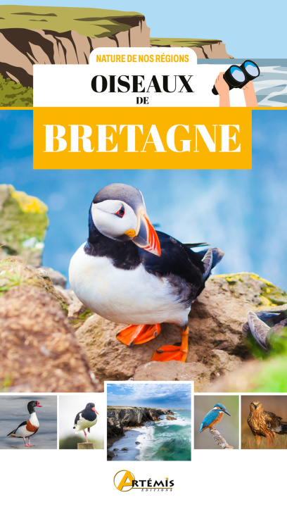 Книга Oiseaux de Bretagne DUPERAT